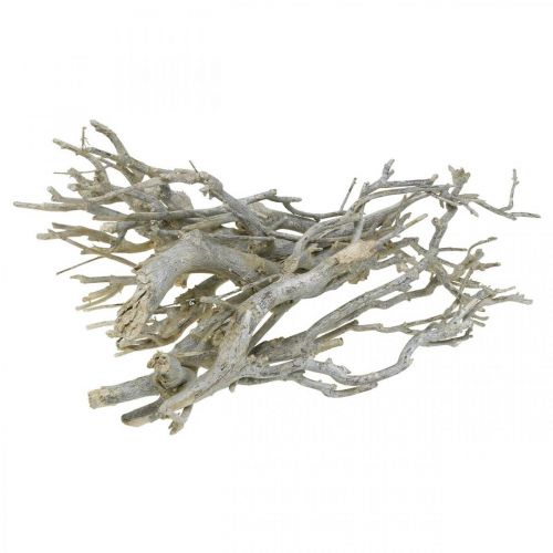 Floristik24 Curry bush decorative branches, Christmas decoration, Advent, natural decoration Golden, washed white L25–30cm 500g