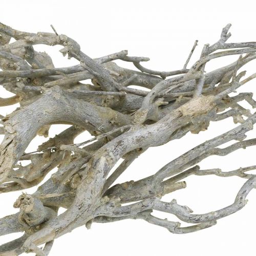 Product Curry bush decorative branches, Christmas decoration, Advent, natural decoration Golden, washed white L25–30cm 500g