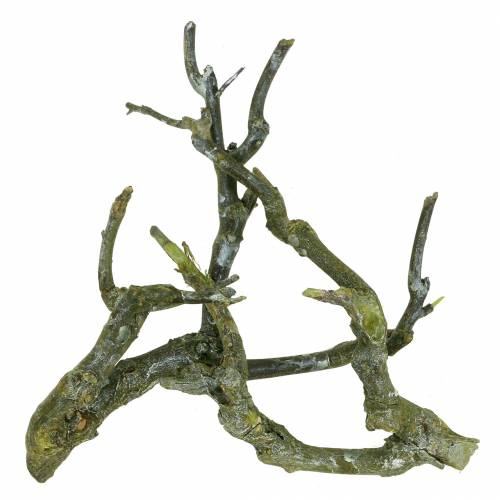 Floristik24 Deco branch curry bush green washed 500g