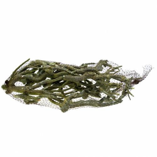 Product Deco branch curry bush green washed 500g