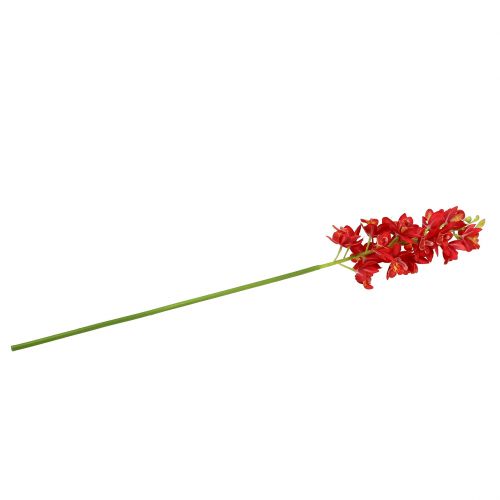 Product Orchid Cymbidium Red 78cm