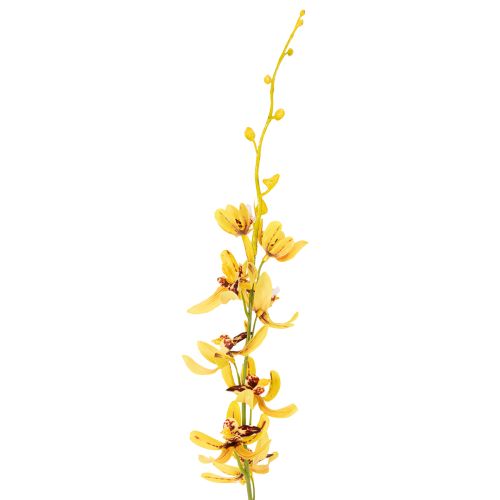 Product Artificial Cymbidium orchid as a flower stem for elegant decoration, 95cm, 2 pieces