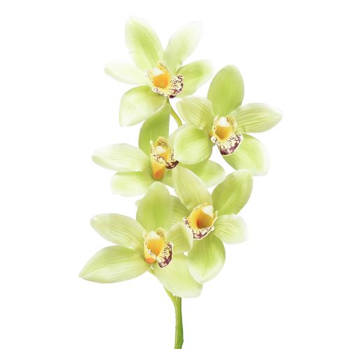 Cymbidium orchid artificial 5 flowers green 65cm