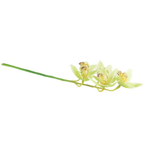 Product Cymbidium orchid artificial 5 flowers green 65cm