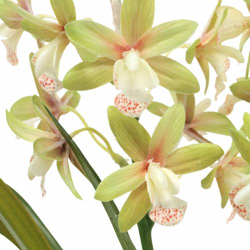 Product Orchid Cymbidium Green in a pot Artificial H46cm