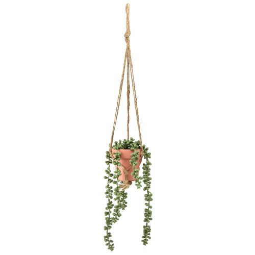 Artificial succulents hanging snake stonecrop 34cm
