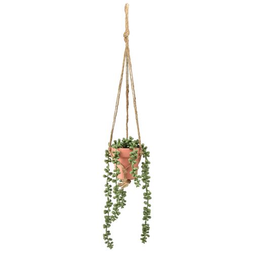 Product Artificial succulents hanging snake stonecrop 34cm