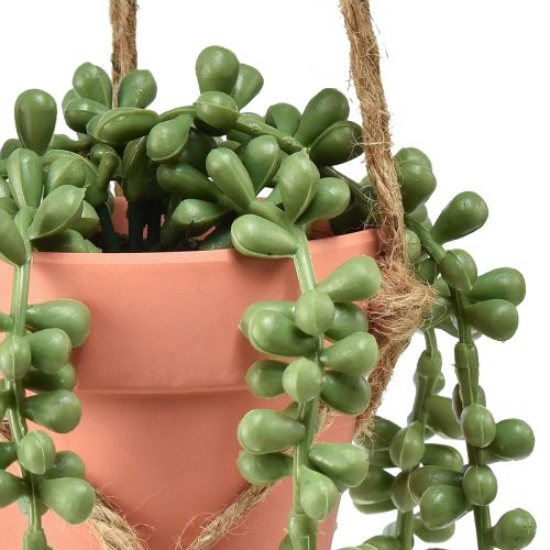 Product Artificial succulents hanging snake stonecrop 34cm