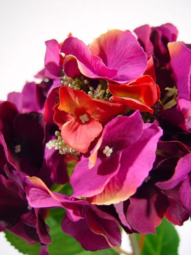 Floristik24 Hydrangea 43cm dark purple (3pcs.)