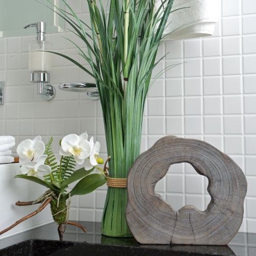 Floristik24 Orchid white with mossballs and roots 36cm