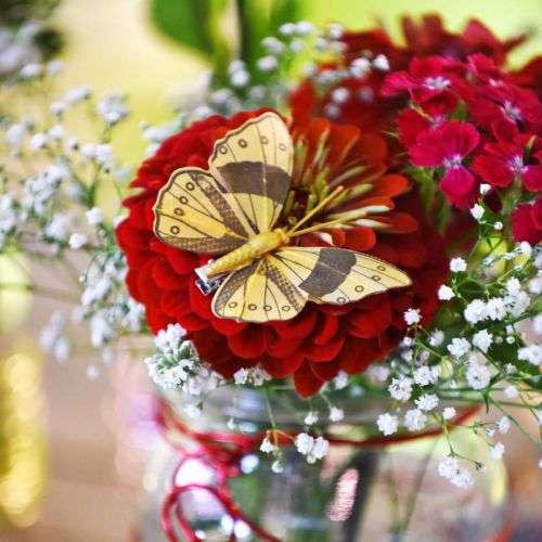 Product Spring butterfly with clip golden spring decoration 6cm 10pcs in a set