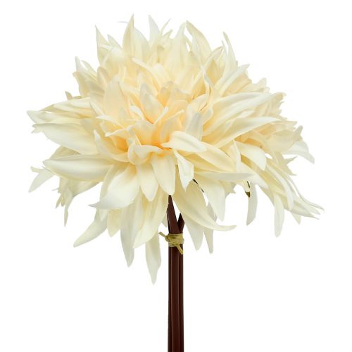 Floristik24 Artificial dahlia cream 25.5cm 3pcs