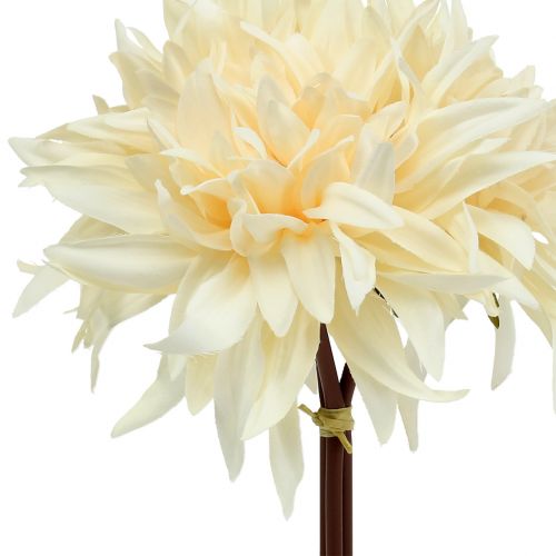 Floristik24 Artificial dahlia cream 25.5cm 3pcs