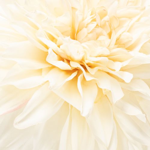 Artificial Dahlia Flower for Vase 68cm Cream White | Floristik24.co.uk