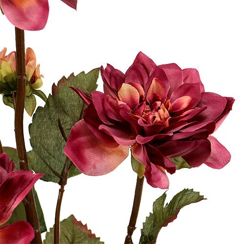 Floristik24 Dahlia Erika Ø10cm L68cm 3pcs