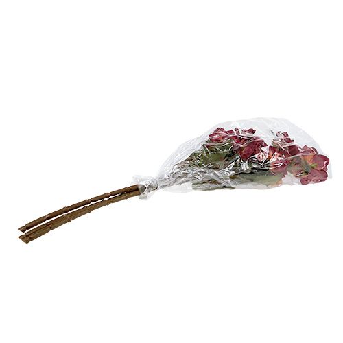 Floristik24 Dahlia Erika Ø10cm L68cm 3pcs