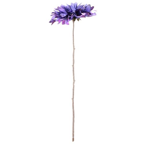 Floristik24 Dahlia Artificial with large flower in violet L58cm