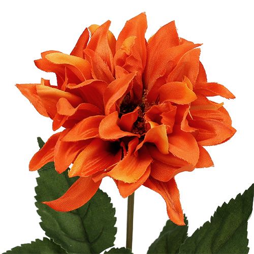 Floristik24 Dahlia Orange 28cm 4pcs