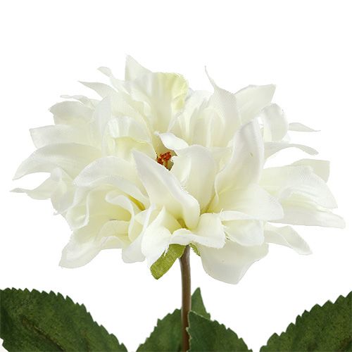 Product Dahlia White 28cm 4pcs