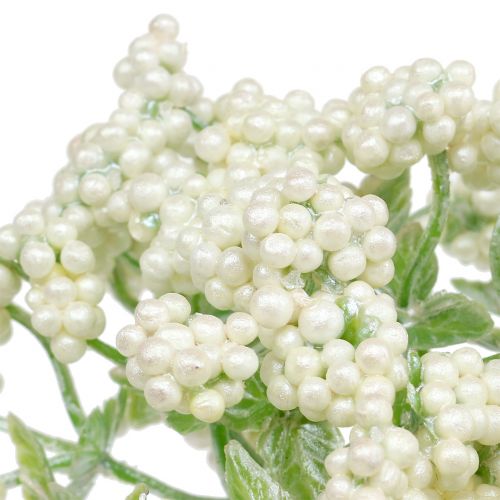 Floristik24 Deco berry branch white 24cm 5pcs