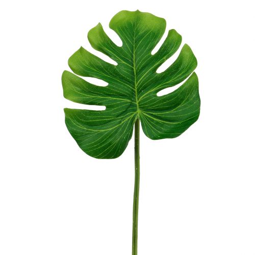 Floristik24 Deco Leaf Philo Leaf Green W11cm L29.5cm 3pcs