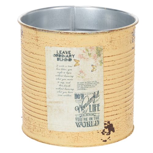 Floristik24 Decorative tin, apricot, metal plant pot, summer decoration, Ø15.5cm H15cm