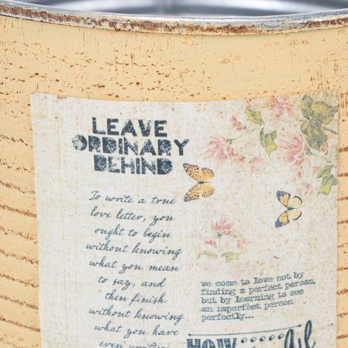 Product Decorative tin, apricot, metal plant pot, summer decoration, Ø15.5cm H15cm