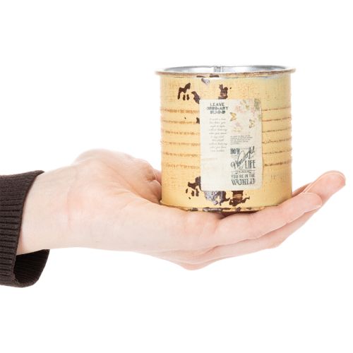 Product Decorative tin, summer apricot color, metal tin, plant pot, Ø8cm H7.5cm