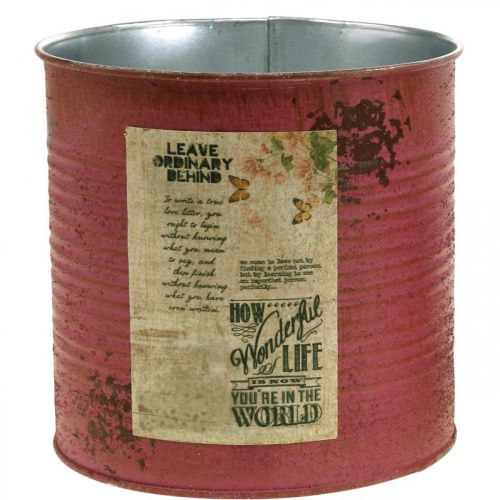 Product Decorative box purple metal tin can for planting Ø15.5cm H15cm