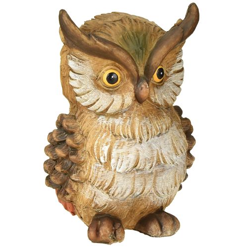 Floristik24 Decorative owl decorative figure hand-painted autumn decoration polyresin H14cm