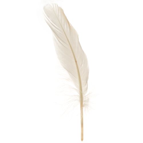 Product Decorative Feathers Real Bird Feathers Champagne 20g
