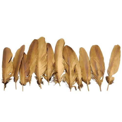 Product Decoration feathers gold Christmas decoration feathers 15-20cm 12 pcs