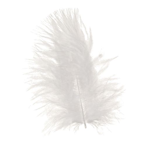 Product Decorative Feathers in White Craft Supplies Spring 5–10cm 20g