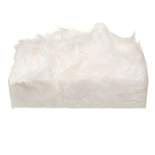 Product Decorative Feathers in White Craft Supplies Spring 5–10cm 20g