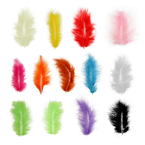 Floristik24 Feathers short 30g different colors
