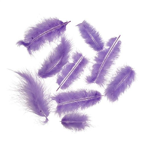 Floristik24 Feathers short 30g light violet