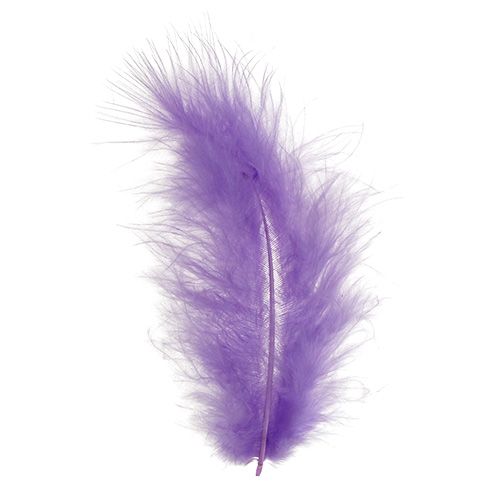 Product Feathers short 30g light violet
