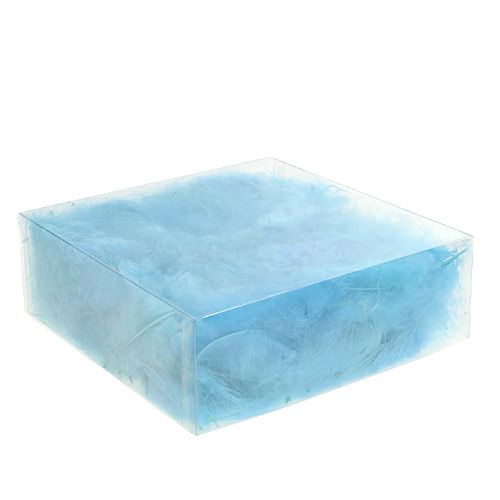 Floristik24 Feathers short 30g turquoise