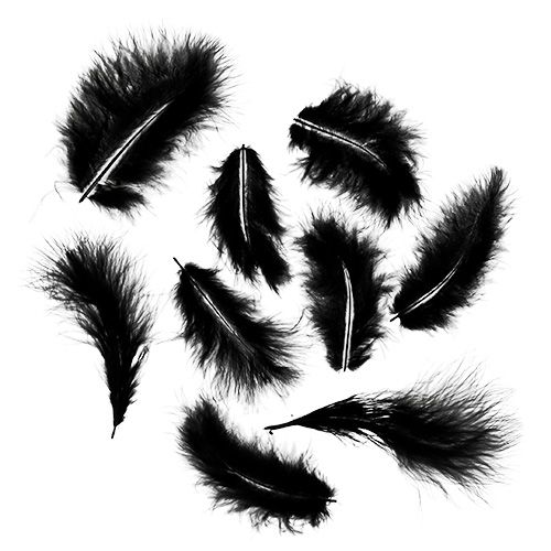 Floristik24 Short feathers 30g black