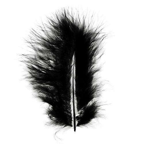 Floristik24 Short feathers 30g black