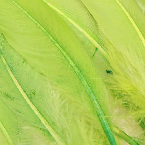Product Decorative Feathers for Crafting Goose Feathers Light Green 20g x 2pcs