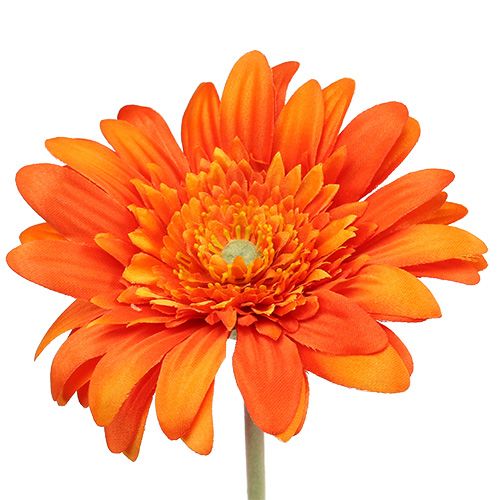 Product Deco Gerbera Orange Ø10cm L53cm 6pcs