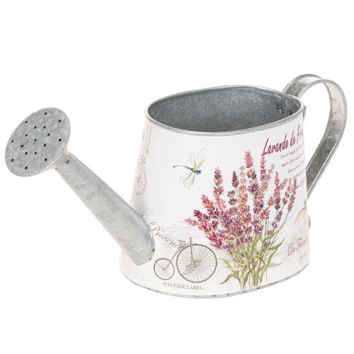 Decorative metal watering can, lavender, retro garden design, 30×11×14.5cm buy online | Floristik24.co.uk