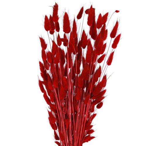 Floristik24 Decorative Grass Red Lagurus Dried Flowers Hare&#39;s Tail Grass 50g