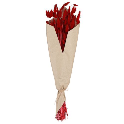 Floristik24 Decorative Grass Red Lagurus Dried Flowers Hare&#39;s Tail Grass 50g