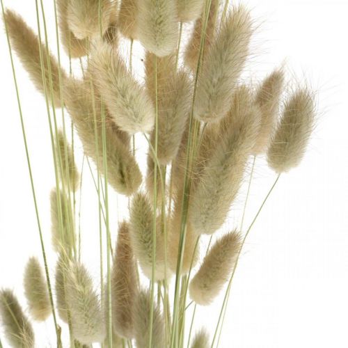 Product Dried Lagurus, Lagurus dried flowers, Natural Lagurus grass L30–70cm 45g