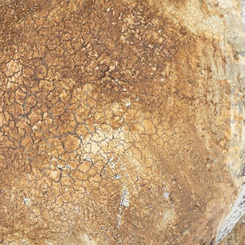 Product Decorative rabbit figurine for springtime home accents, 32cm, 2 pieces