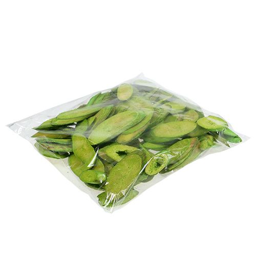 Floristik24 Decorative wooden discs spring green 300g