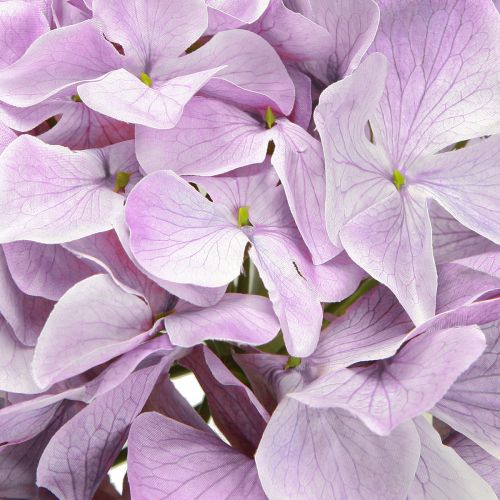Product Decoration Hydrangeas Artificial Flowers Purple Blossom Ø18cm 69cm 2pcs