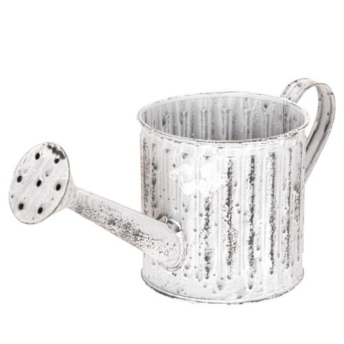 Decorative watering can, planter, watering can for planting Ø10.5cm buy online | Floristik24.co.uk